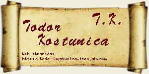 Todor Koštunica vizit kartica